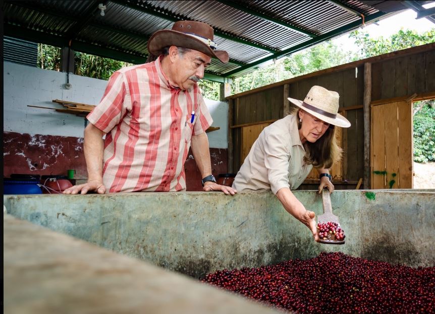 Single Origin Coffees