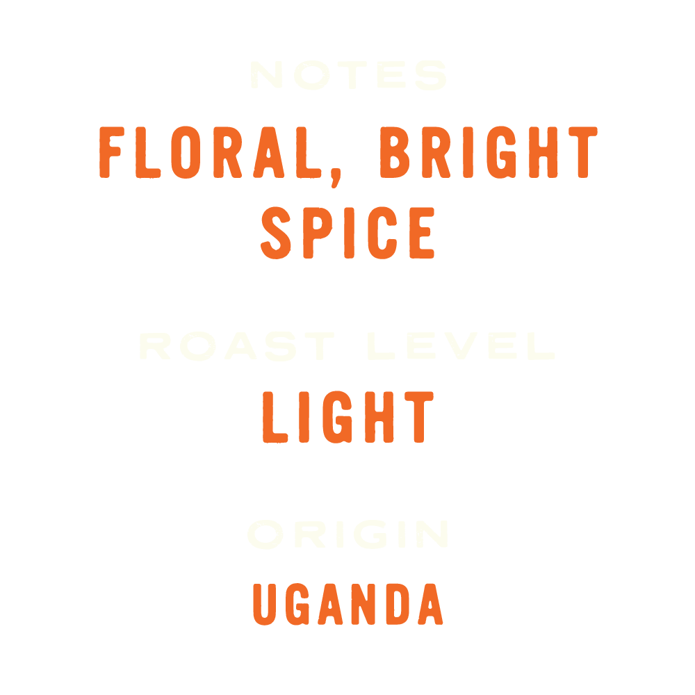 Uganda - Washed SL14