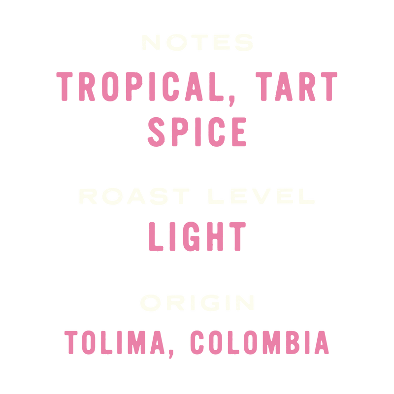Colombia Natural Lactic Yellow Typica