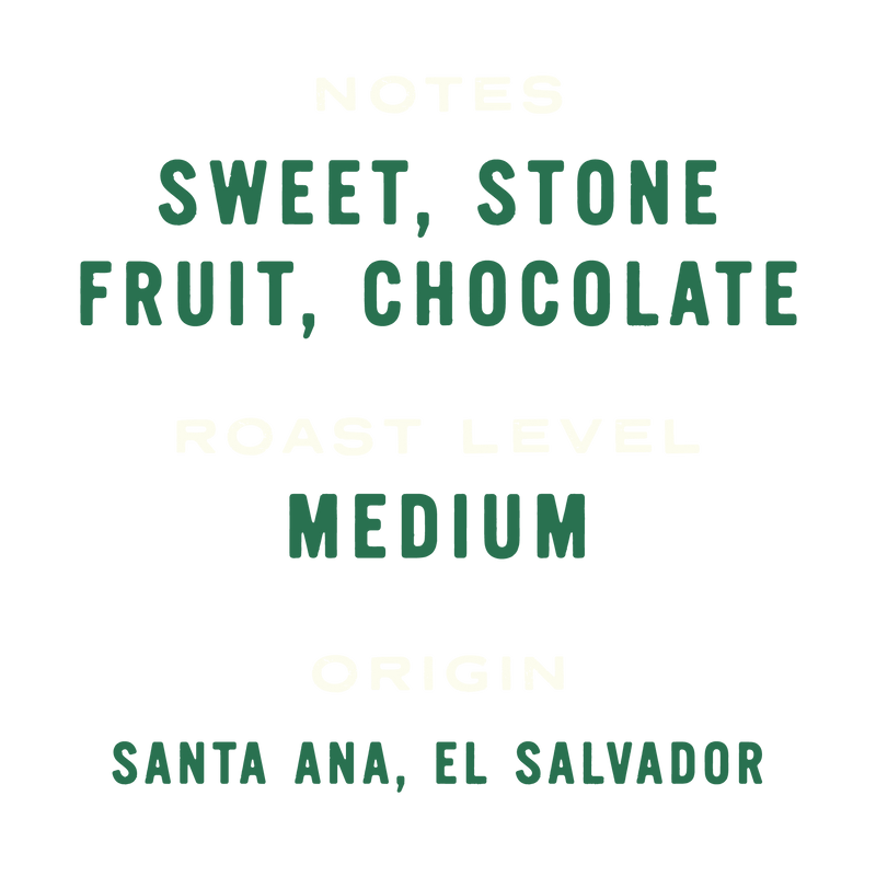 El Salvador - Mario Valiente: Natural Pacamara